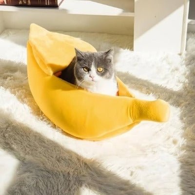 Maison chat | Banane Confortable vers une fenêtre