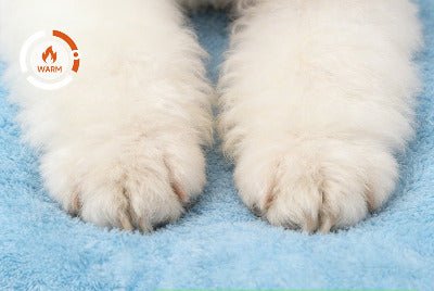 Maison pour chat | Design Confortable - Chat - Mellow