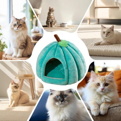Niche à chat | Citrouille Moelleuse - Chat-Mellow
