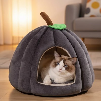 Niche à chat | Citrouille Moelleuse - Chat-Mellow