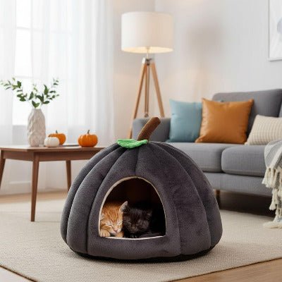 Niche à chat | Citrouille Moelleuse - Chat-Mellow