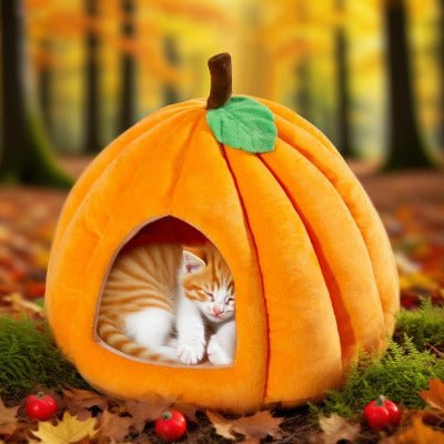 Niche à chat | Citrouille Moelleuse - Chat-Mellow