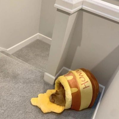 Niche Chat | Pot de Miel - Chat-Mellow