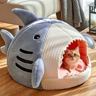 Niche chat | Shark - Chat-Mellow