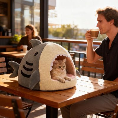 Niche chat | Shark - Chat-Mellow