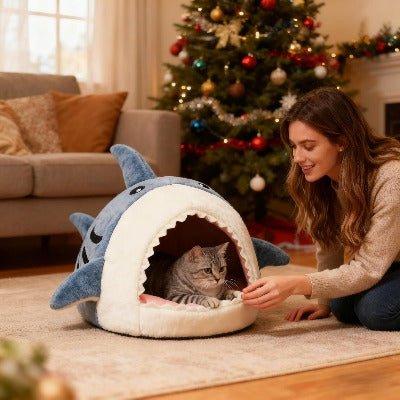 Niche chat | Shark - Chat-Mellow