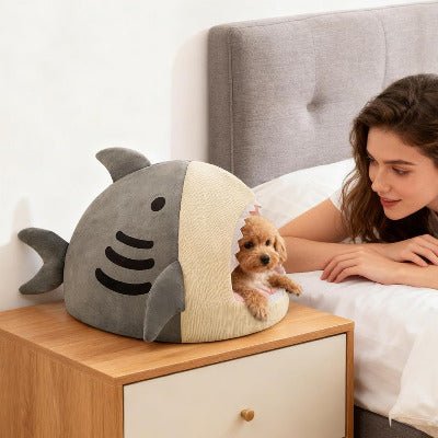 Niche chat | Shark - Chat-Mellow