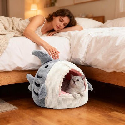 Niche chat | Shark - Chat-Mellow