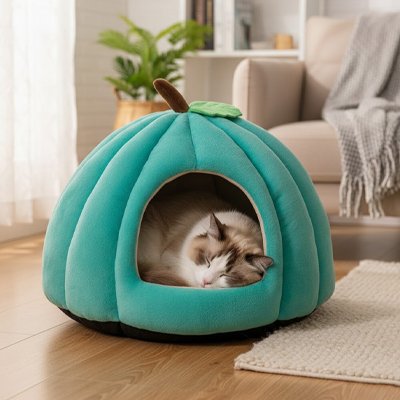 Niche citrouille paisible