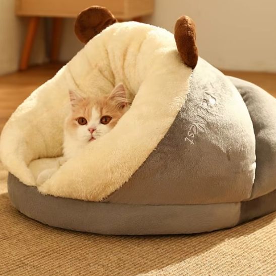 niche pour chat et chat dedans