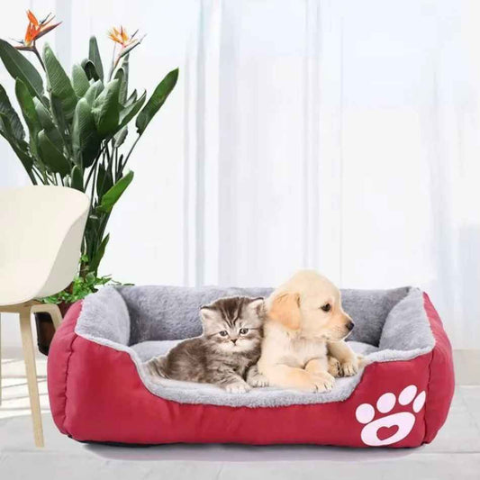 panier chat chiot chaton