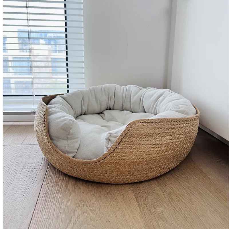 panier chat dans un coin