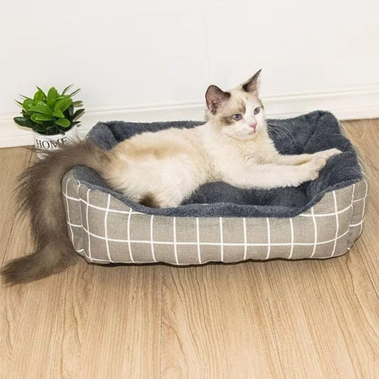 panier chat et chat dedans