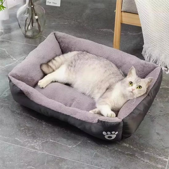 panier chat noir avec chat