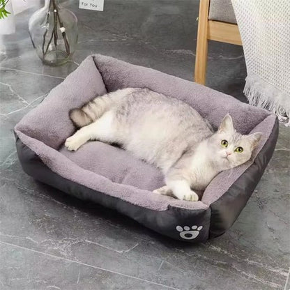 panier chat noir avec chat
