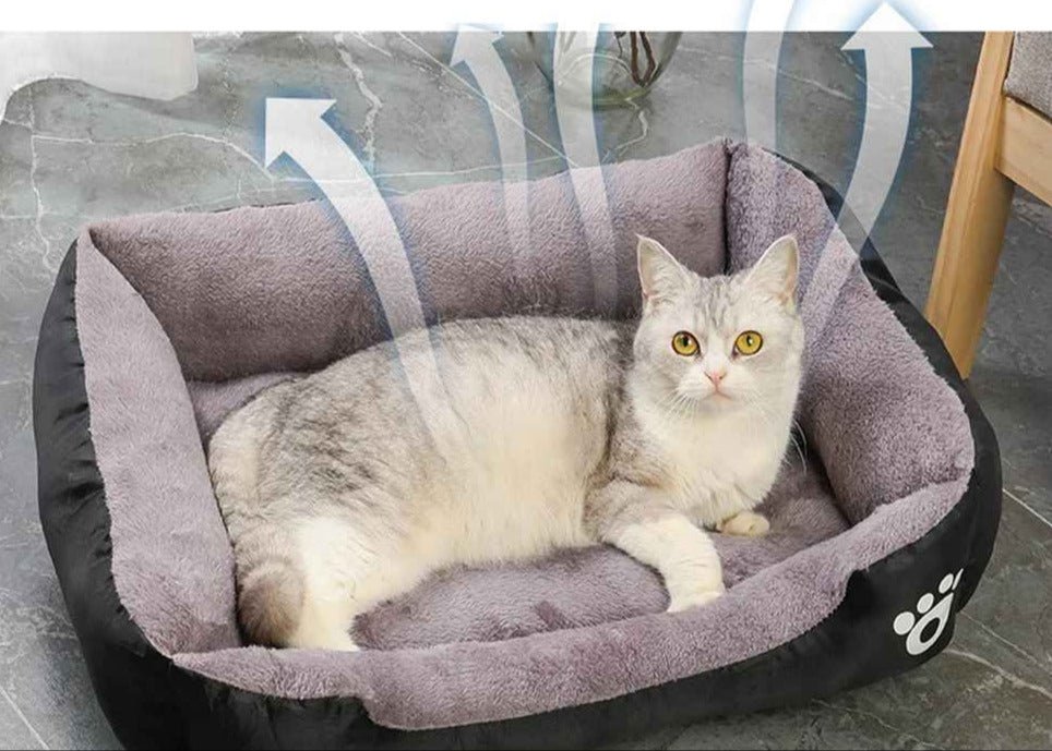 panier chat respirant avec chat