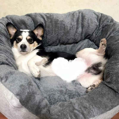 Panier pour chat | Doux et chaud - Chat - Mellow