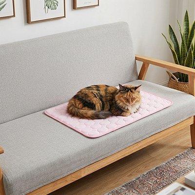 Tapis rafraichissant Chat | Confort Estival - Chat - Mellow