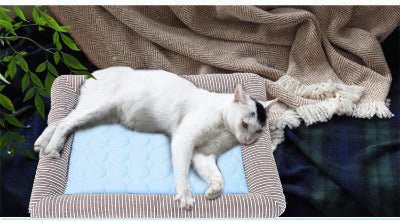 Tapis rafraichissant Chat | Confort Été - Chat - Mellow