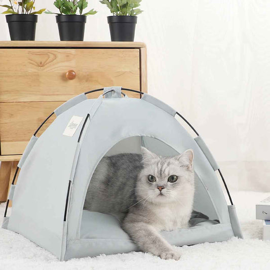 tente chat gris cyan