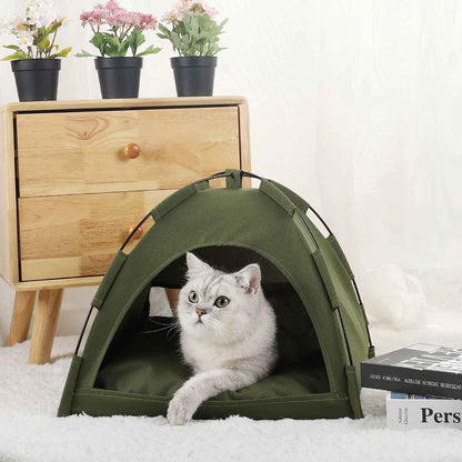 tente chat verte et chat a l'interieur