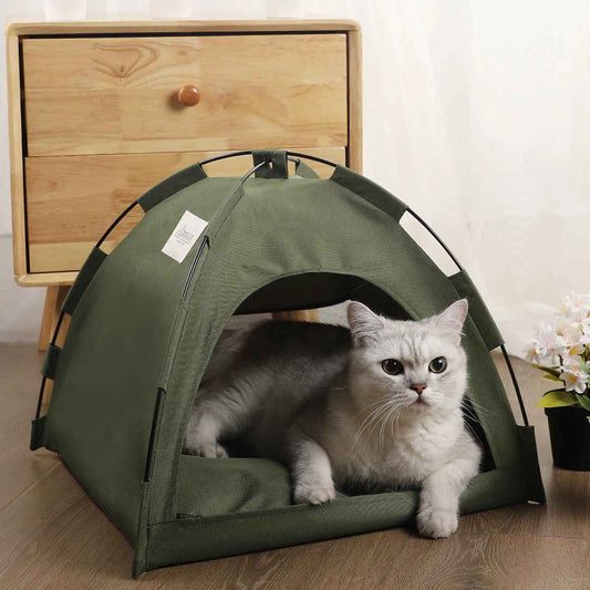 tente chat verte