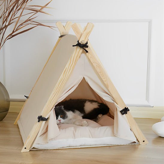 tente pour chat chat dort