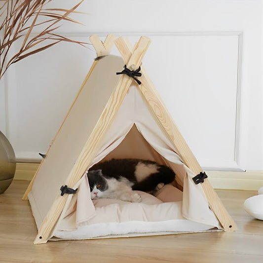 tente pour chat chat dort