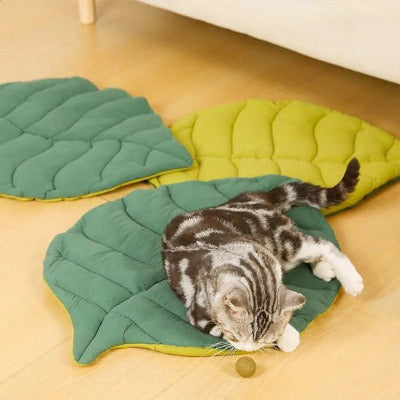trois tapis de lit pour  chat et un chat dessus