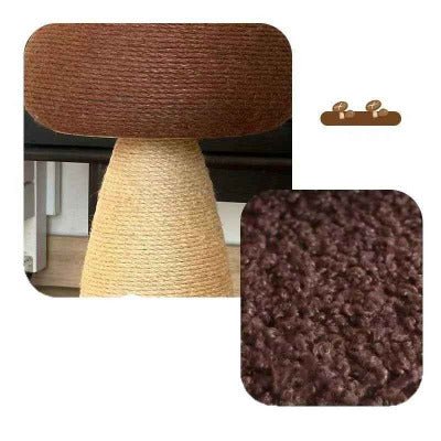 zoom sur la matière du Griffoir chat, champignon Shiitake 