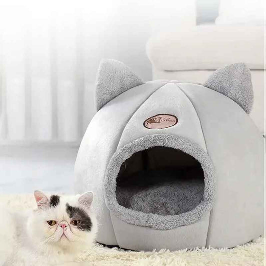 zoom sur niche chat et chat